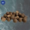 Bouillettes X – SAVAGE SEA