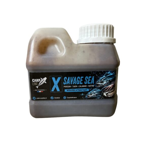 Booster X – SAVAGE SEA