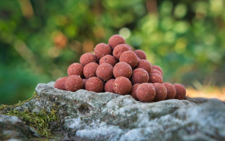 Bouillettes SPICEX rouges Carpline en tas sur une pierre moussue au bord de l’eau